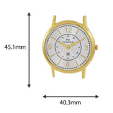 Maxima GOLD Men Silver Dial Analogue Watch - 48213CMGY