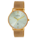 Maxima GOLD Men Silver Dial Analogue Watch - 66471CMGY