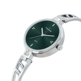 Maxima ATTIVO Women Green Dial Analogue Watch - 68980BMLI