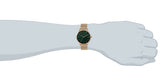 Maxima ATTIVO Men Green Dial Analogue Watch - O-66730CMGR